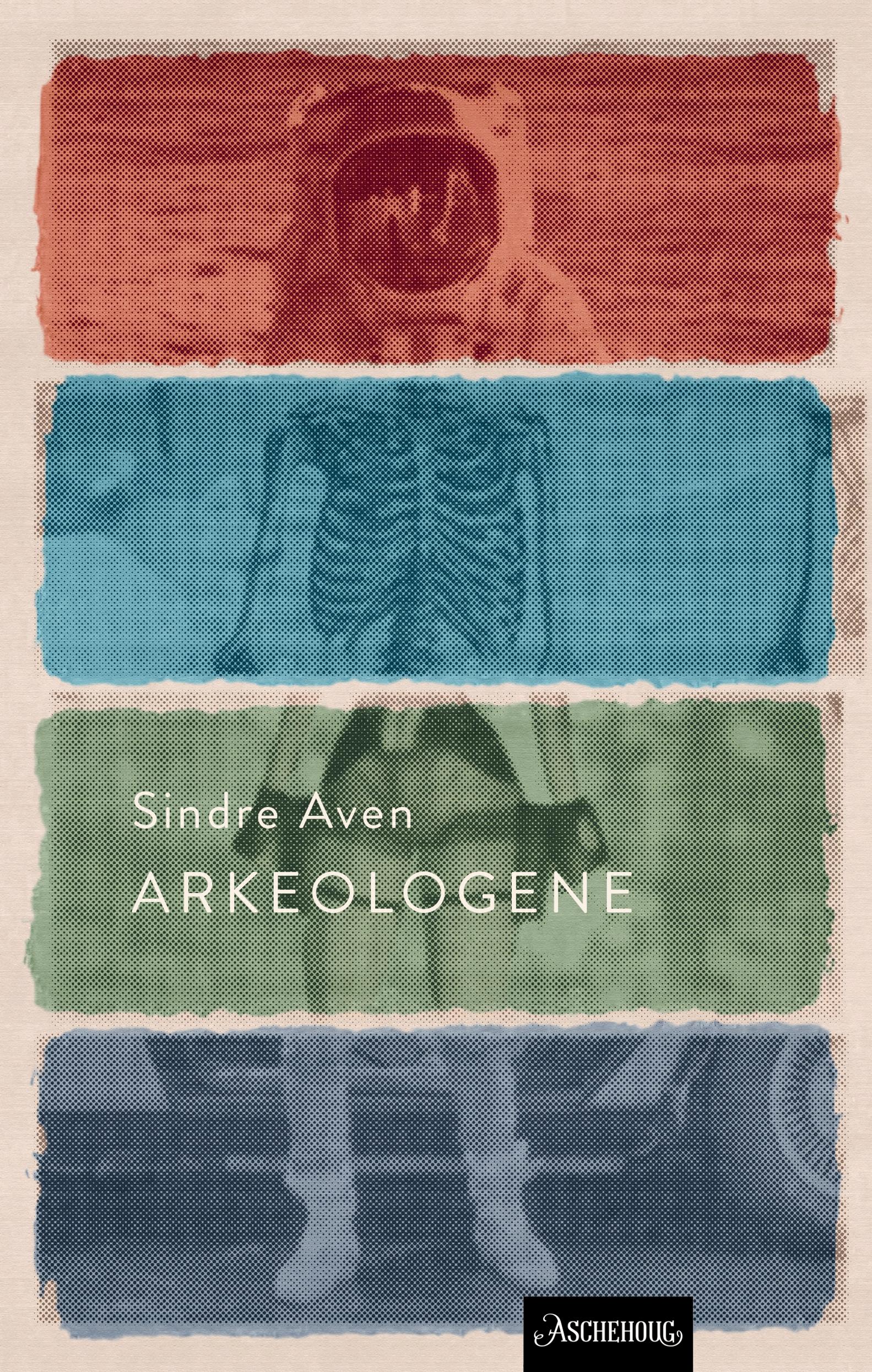 Arkeologene - en utgravning (Hardcover)