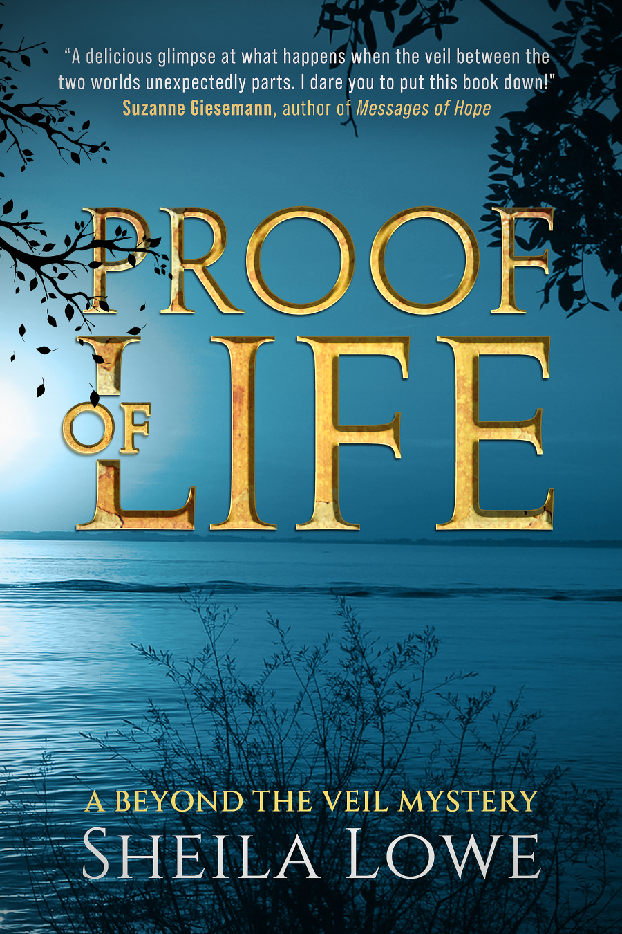 Proof of Life (Beyond the Veil #2)