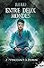 Vengeance à Dublin: Entre deux mondes - 2 (French Edition)