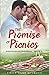 The Promise of Picnics: A small-town Christian romance (Hometown Holiday Heartstrings)