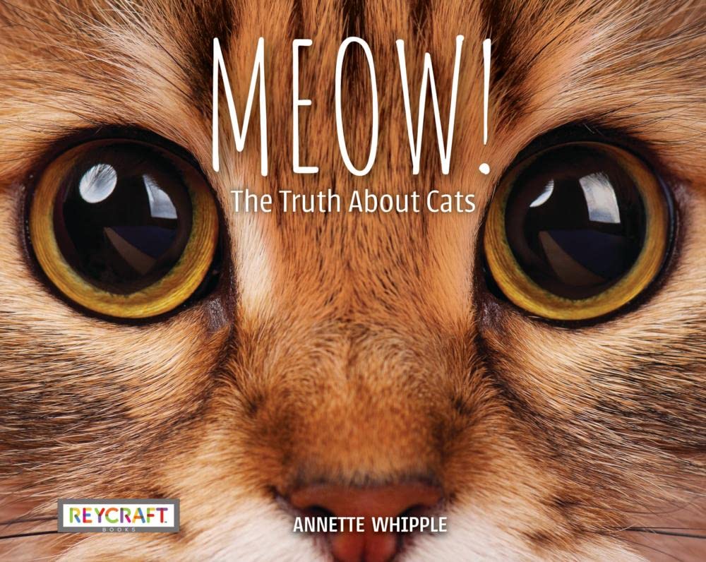 MEOW! The Truth About Cats (Hardcover)