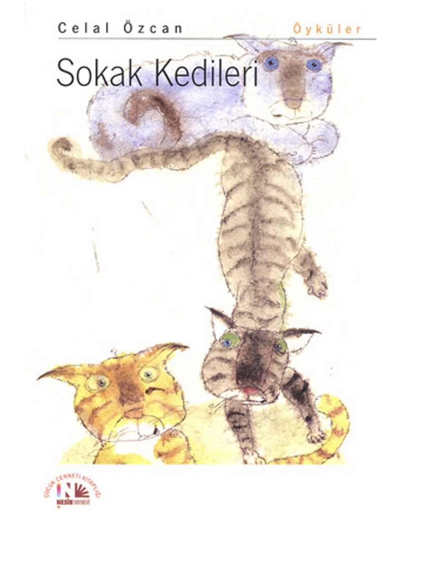 Sokak Kedileri (Paperback)