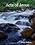Acts of Jesus by Henry Dubose