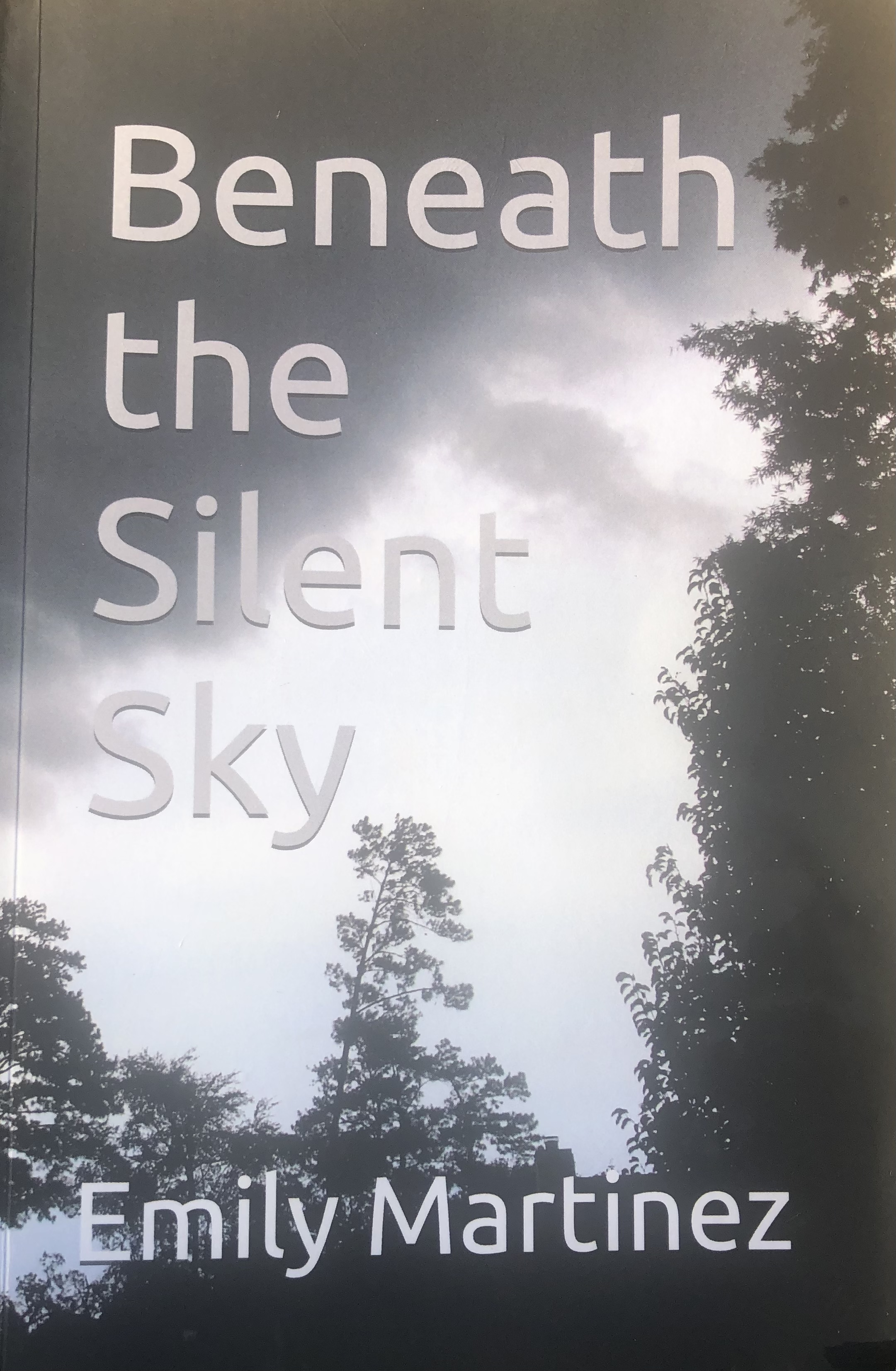 Beneath the Silent Sky (The Jacob Series, #2)