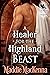 A Healer for the Highland B...