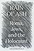Rain of Ash: Roma, Jews, and the Holocaust