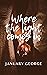 Where The Light Comes In by January George