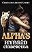 Alpha's Hybrid Cinderella (Book 2) (Alpha‘s Hybrid Cinderella)