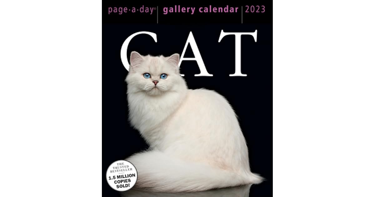 Cat Page A Day Gallery Calendar 2023 By Workman Calendars Cat Page A Day Gallery Calendar 2023 By Workman Calendars