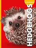 Curious About Hedgehogs