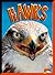 Hawks (Birds of Prey)