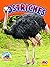 Ostriches