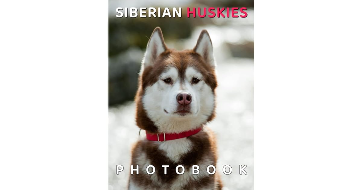 Siberian Huskies Photo Book: Have A Better Mood With 40 Super Cute Dog ...