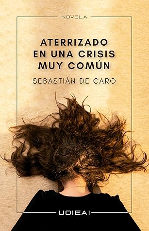 Tapa de Aterrizado en una crisis muy común (Sebastián De Caro)