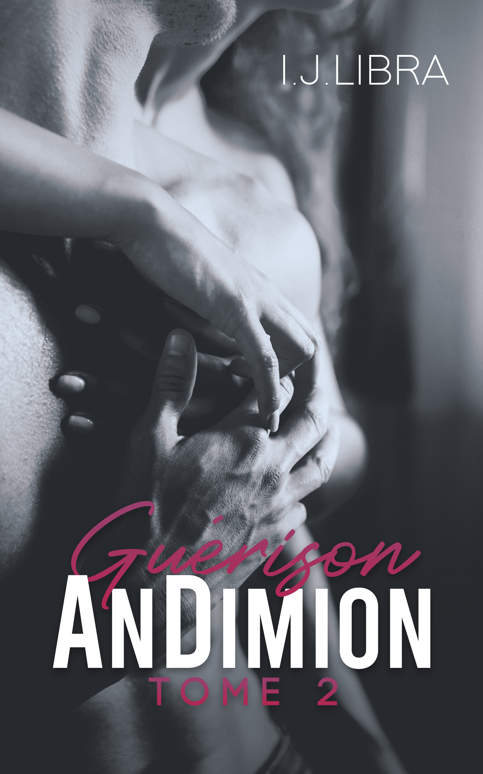 AnDimion Guérison, tome 2