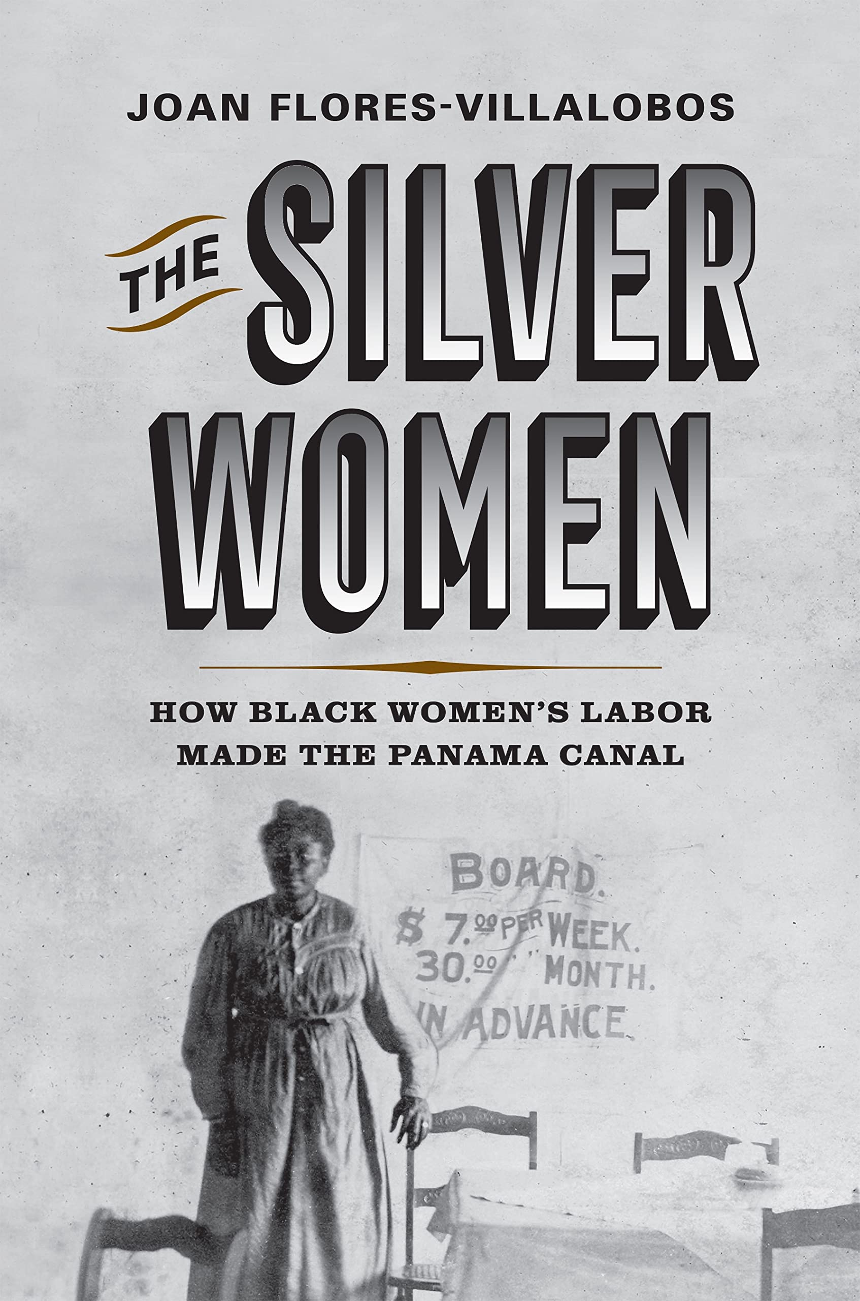 The Silver Women: How Black Women’s Labor Made the Panama Canal (Politics and Culture in Modern America)