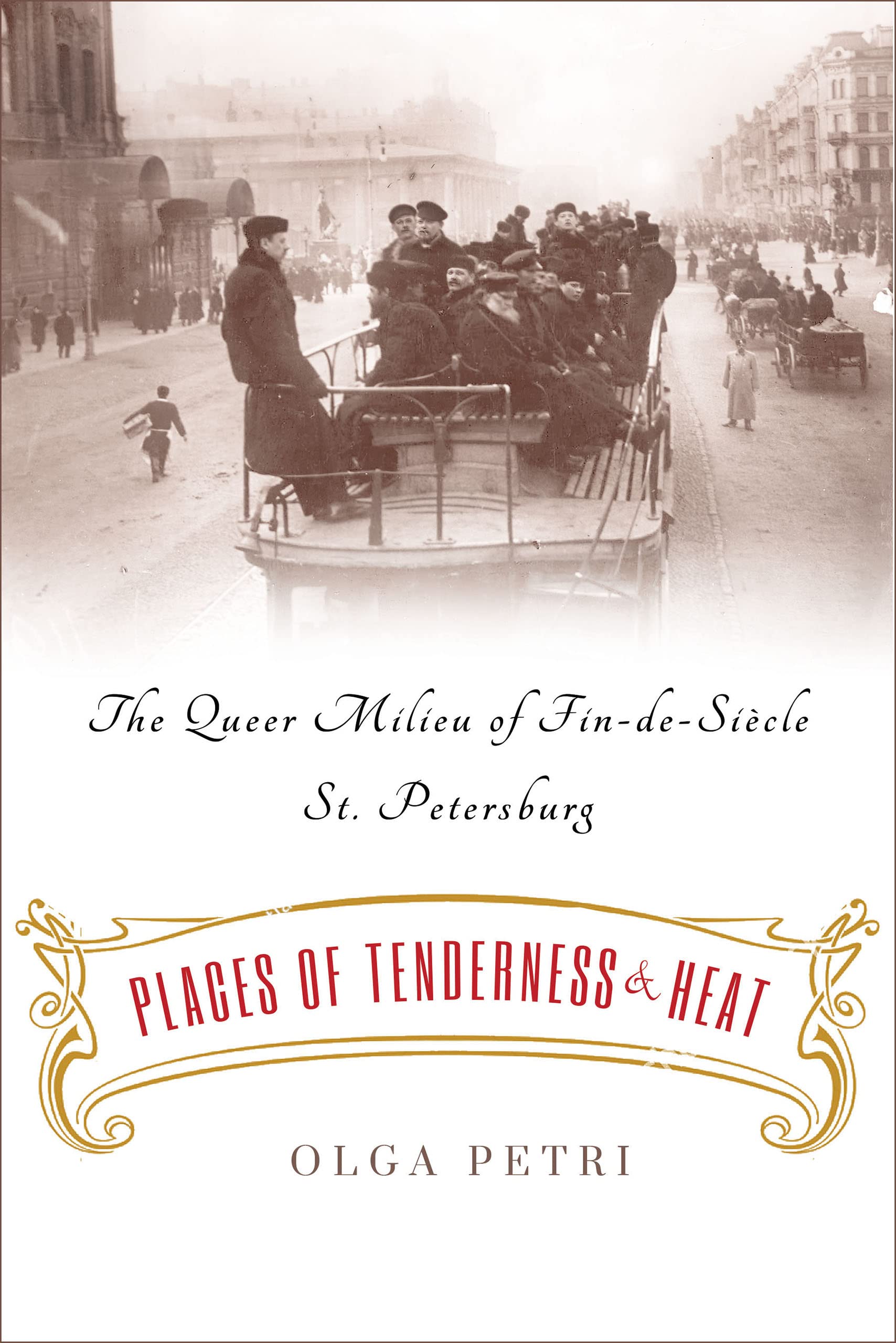 Places of Tenderness and Heat: The Queer Milieu of Fin-de-Siècle St. Petersburg (Hardcover)