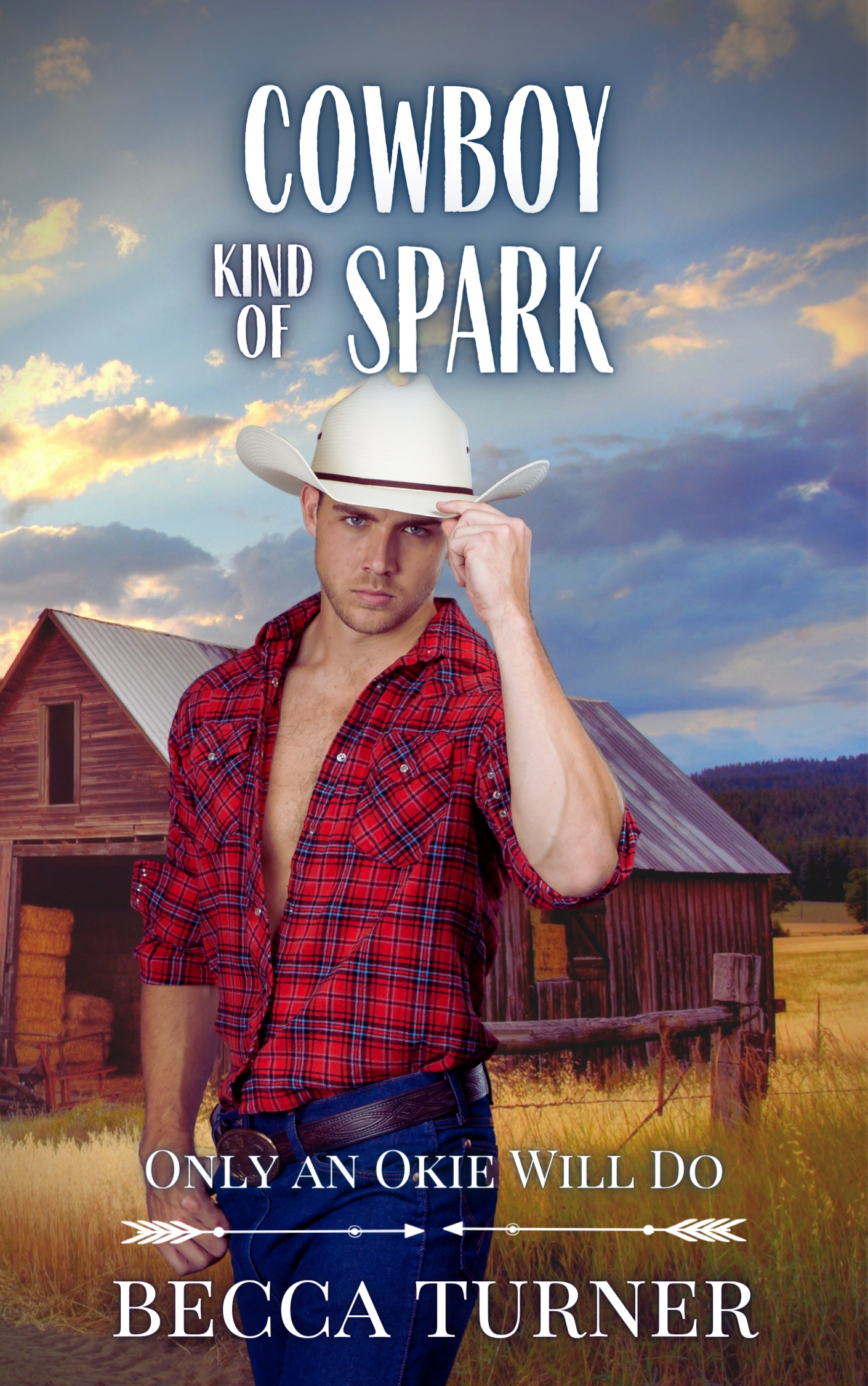 Cowboy Kind of Spark (Kindle Edition)