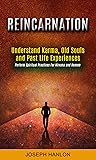Reincarnation: Understand Karma, Old Souls and Past Life Experiences (Perform Spiritual Practices For Nirvana and Heaven)
