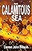 This Calamitous Sea