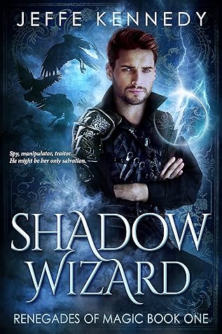 Shadow Wizard (Renegades of Magic #1)