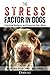 The Stress Factor in Dogs: Unlocking Resiliency and Enhancing Well-Being