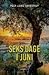 Seks dage i juni by Peer Louis Aarestrup