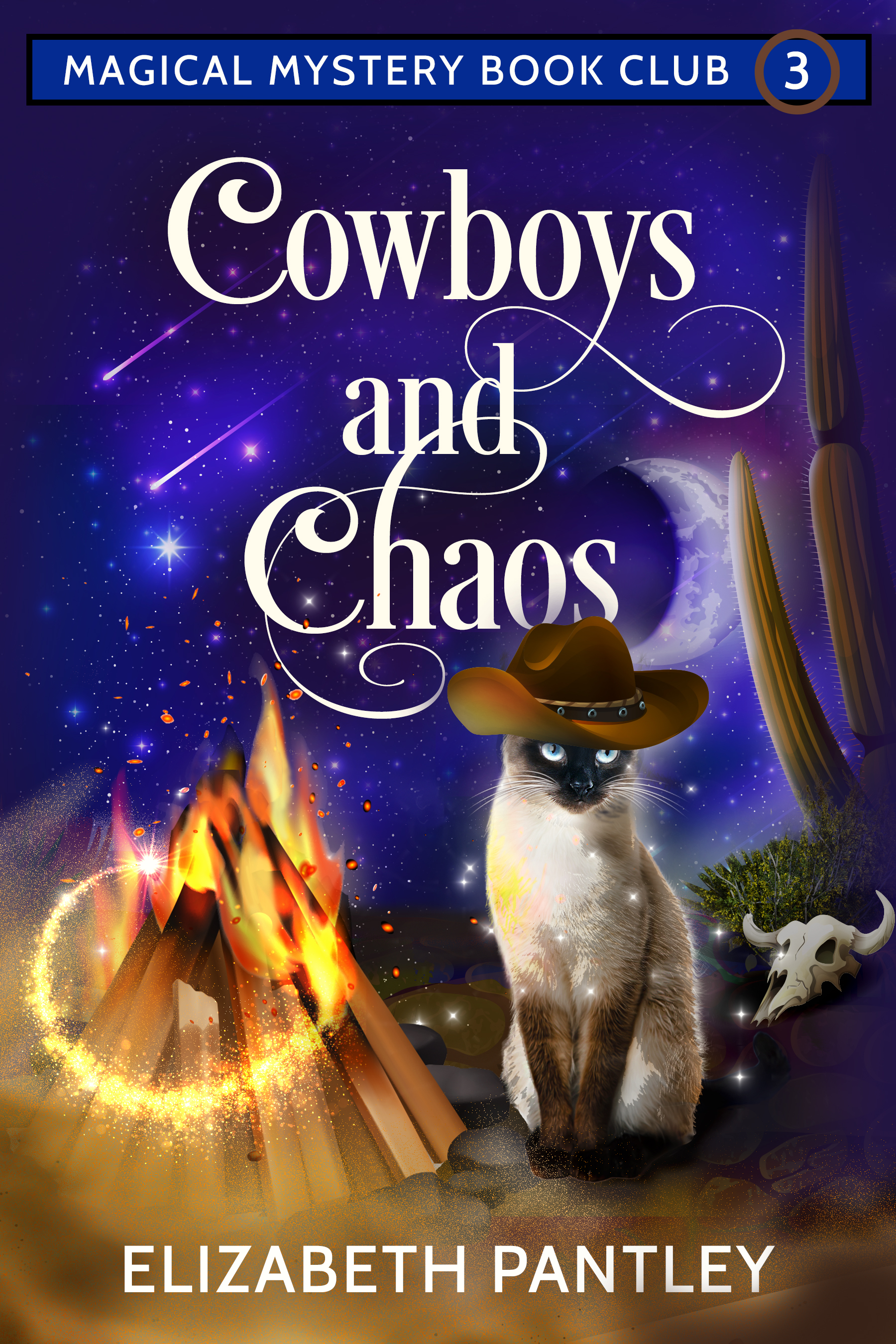 Cowboys and Chaos (Magical Mystery Book Club, #3)
