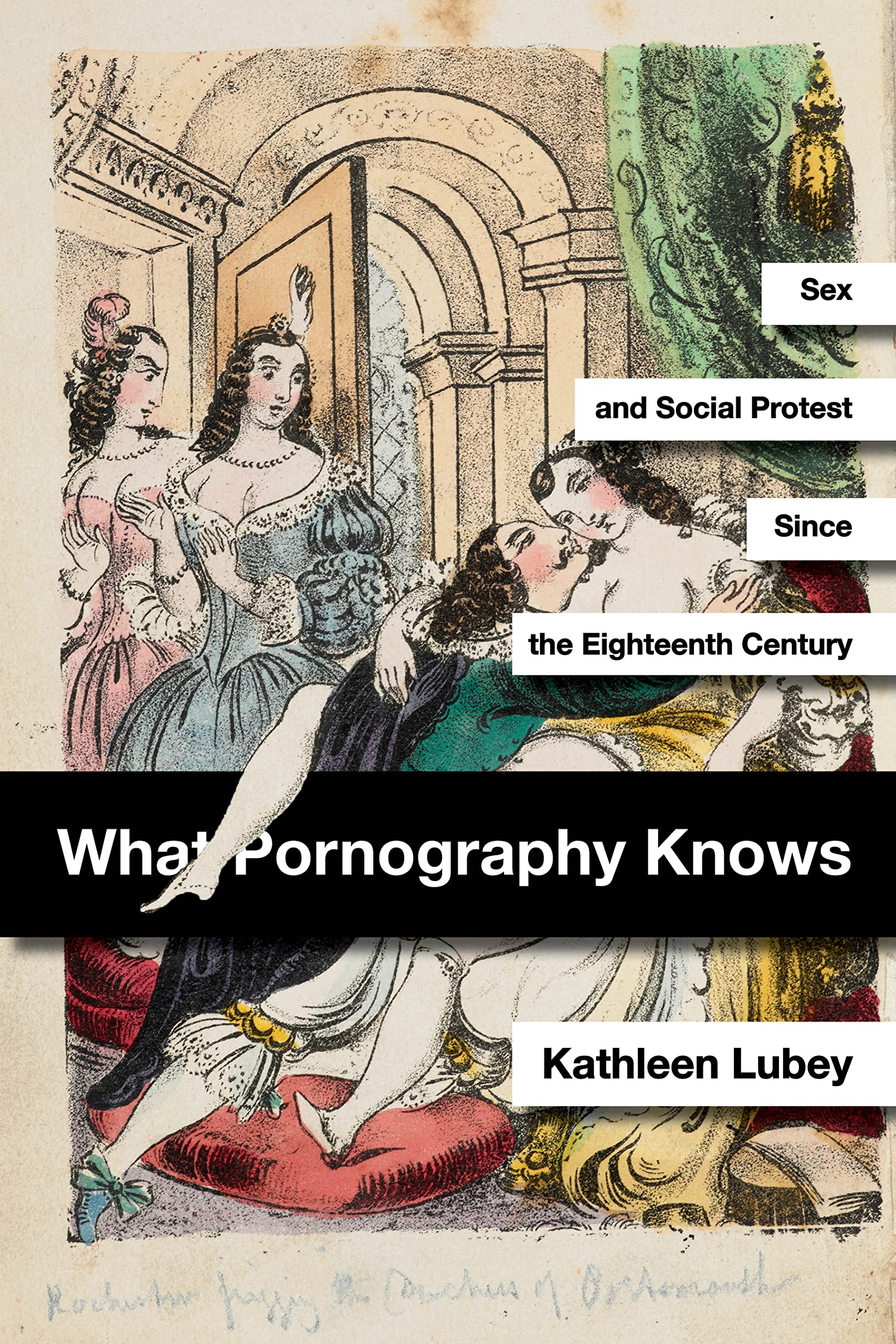 What Pornography Knows: Sex and Social Protest since the Eighteenth Century (Kindle Edition)