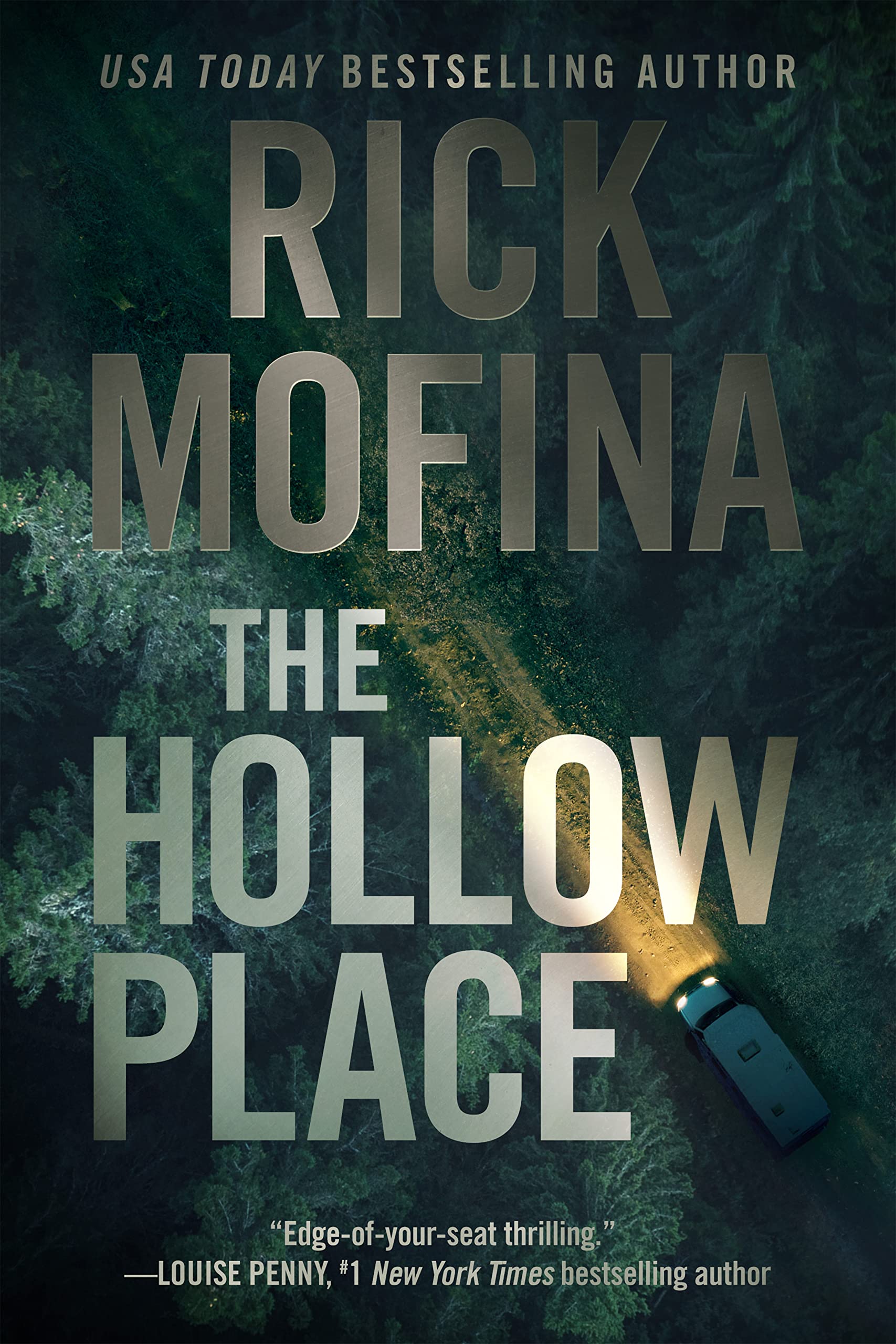 The Hollow Place (Ray Wyatt, #2)