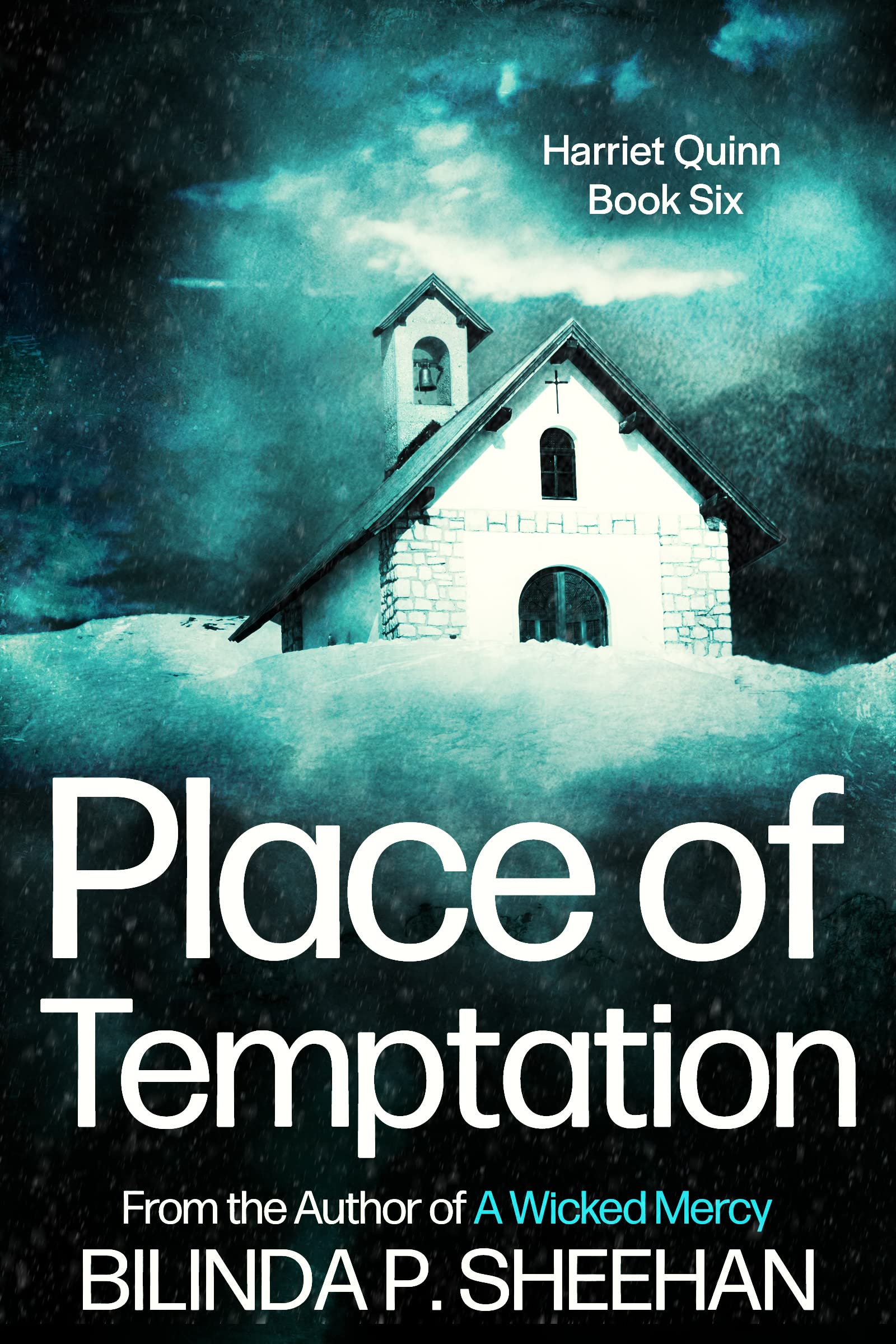 Place of Temptation (DI Haskell & Quinn #6)