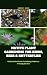 NATIVE PLANT GARDENING FOR BIRDS, BEES & BUTTERFLIES by Kimberly Adams