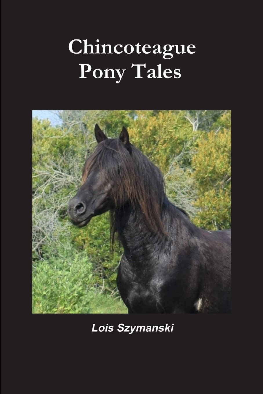 Chincoteague Pony Tales (Paperback)