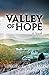 Valley of Hope: A Novel