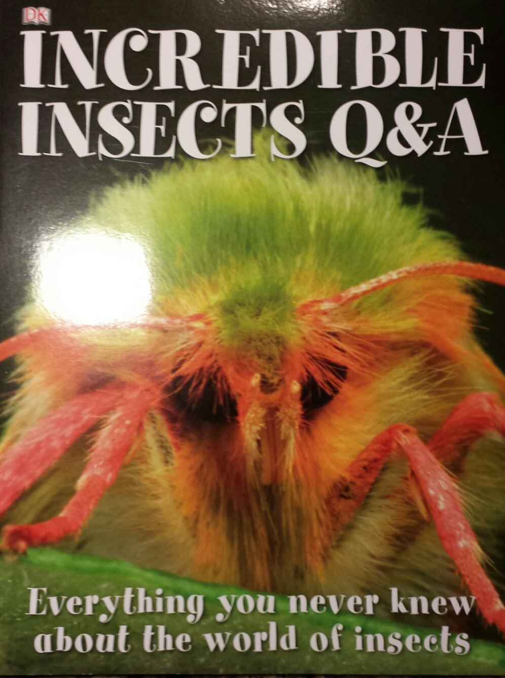 Incredible Insects Q&A Everything you never knew about the world of insects (Paperback)