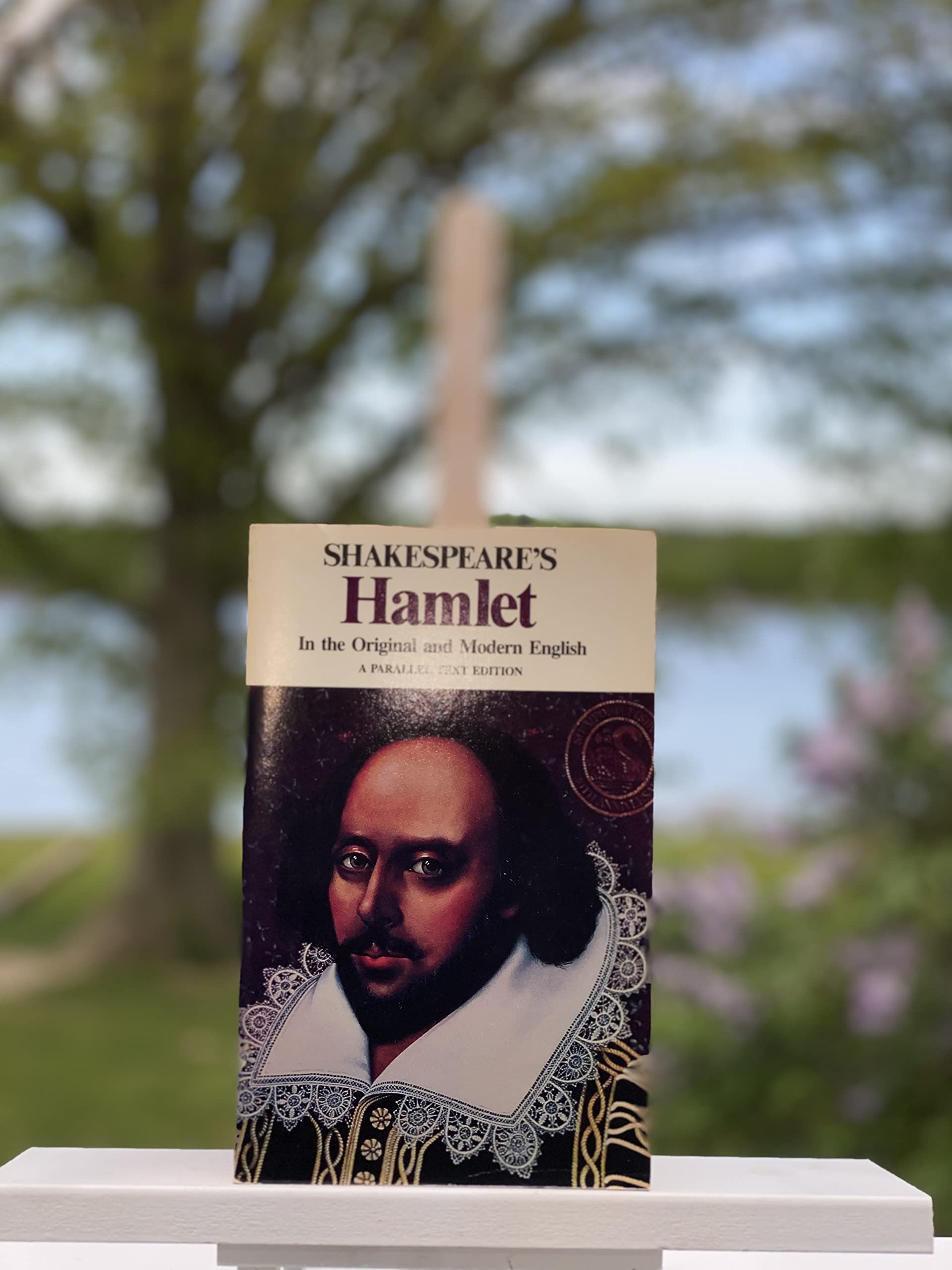 Hamlet in the Original and Modern English