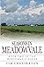 Seasons in Meadowvale: Book...