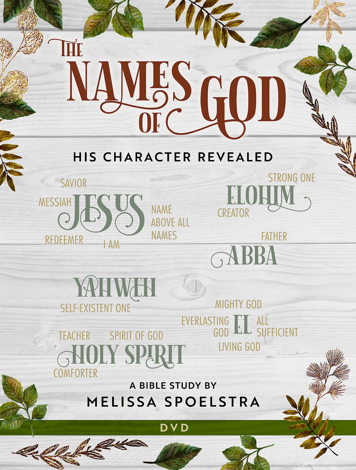 The Names of God - Women's Bible Study DVD: His Character Revealed (DVD)