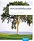 Psychogénéalogie au quotidien