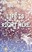 Life Is Right Here