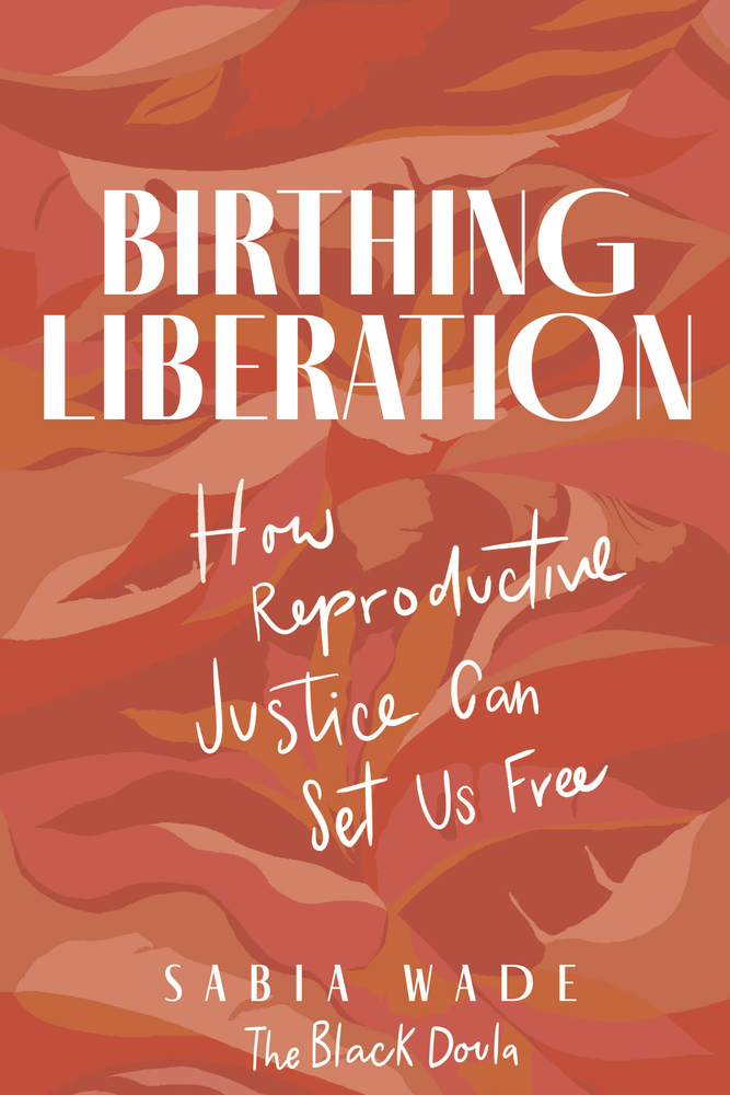 Birthing Liberation: How Reproductive Justice Can Set Us Free (Hardcover)