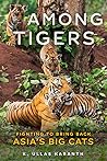 Among Tigers: Fig...