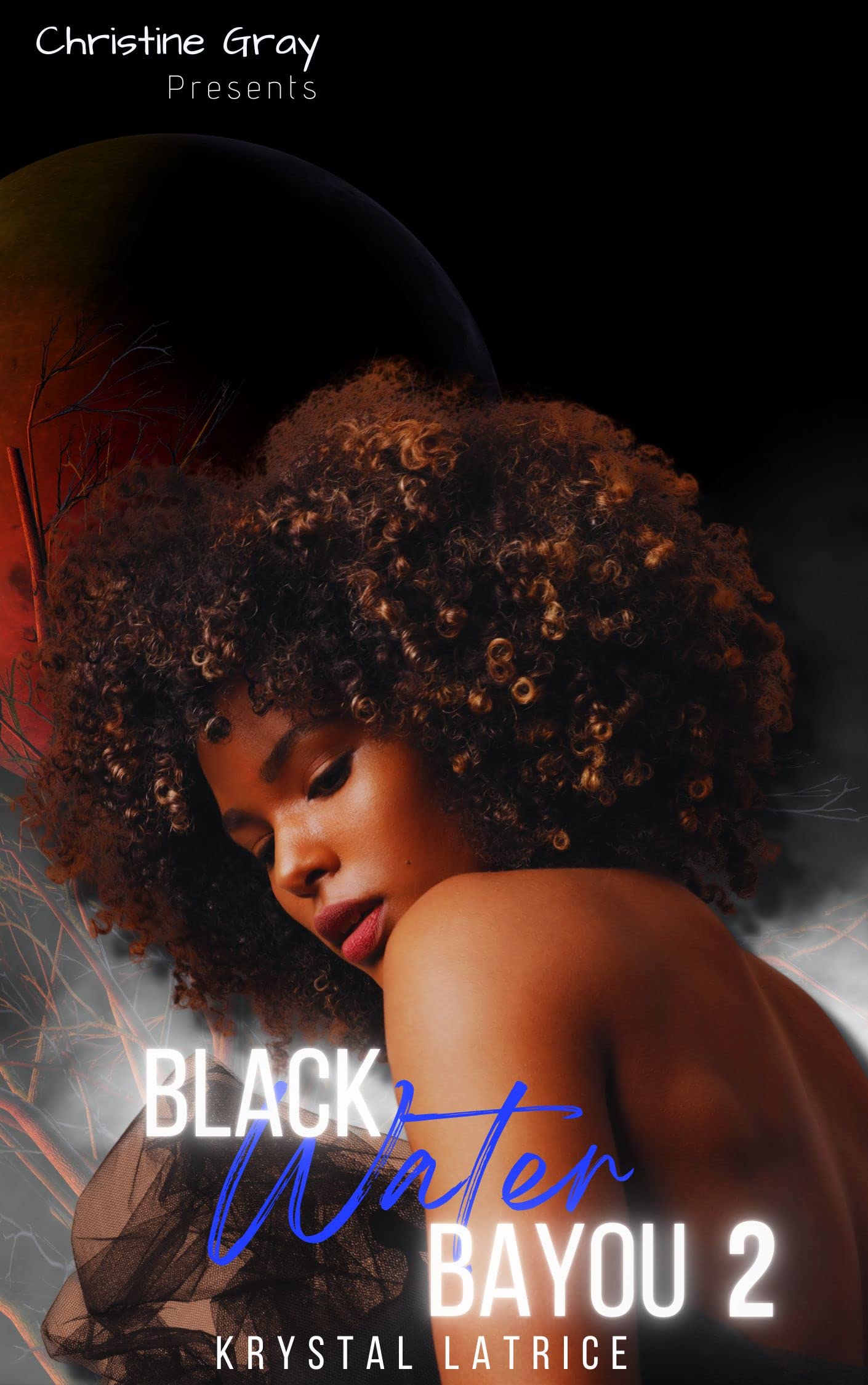 Black Water Bayou 2: The Haunting of Clearlake (Kindle Edition)