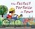 The Fastest Tortoise in Town