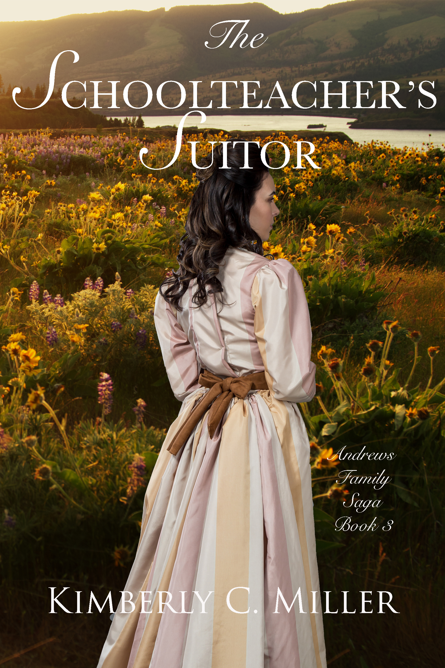 The Schoolteacher's Suitor (Andrews Family Saga book 3)
