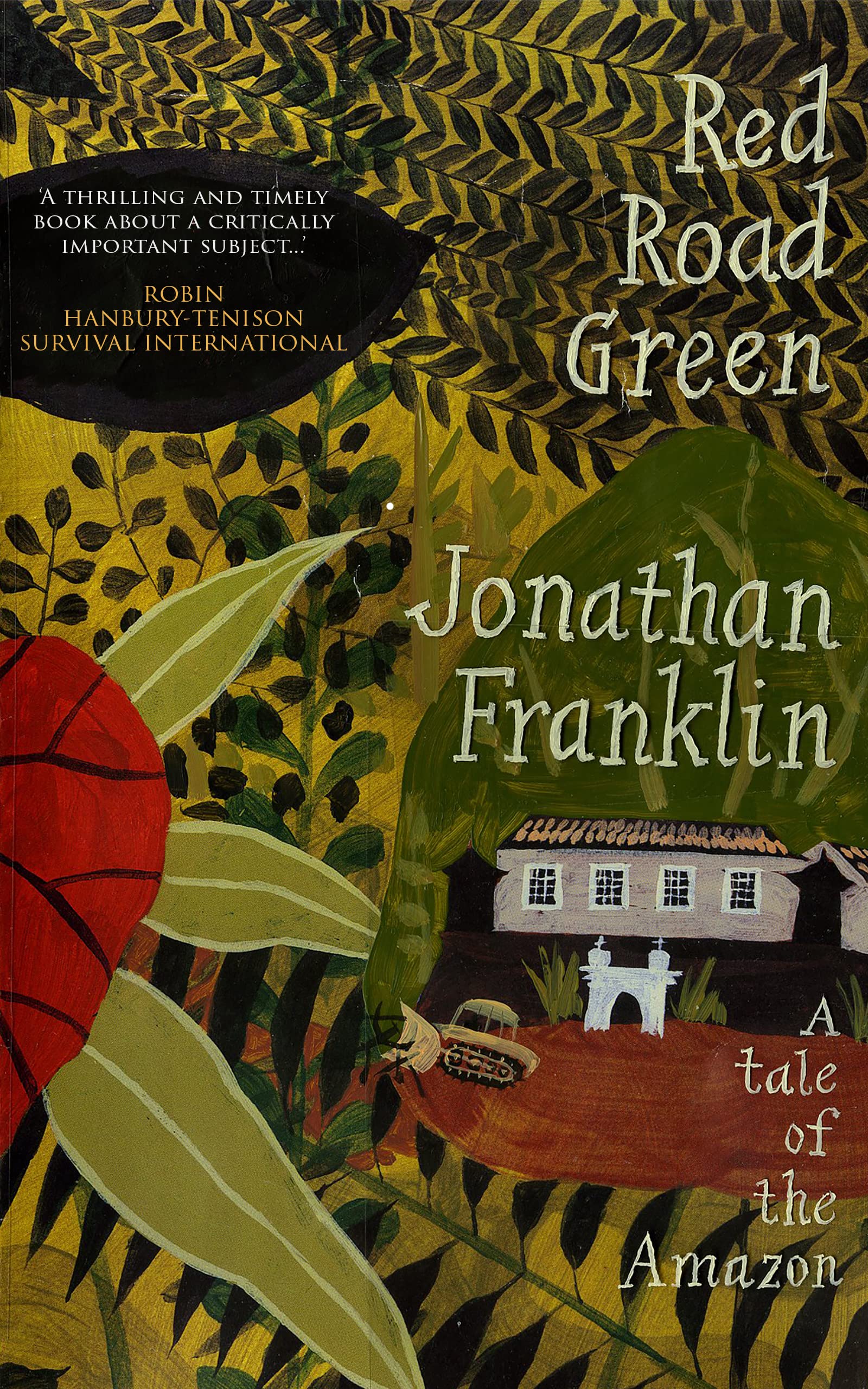 Red Road Green: A tale of the Amazon (Kindle Edition)