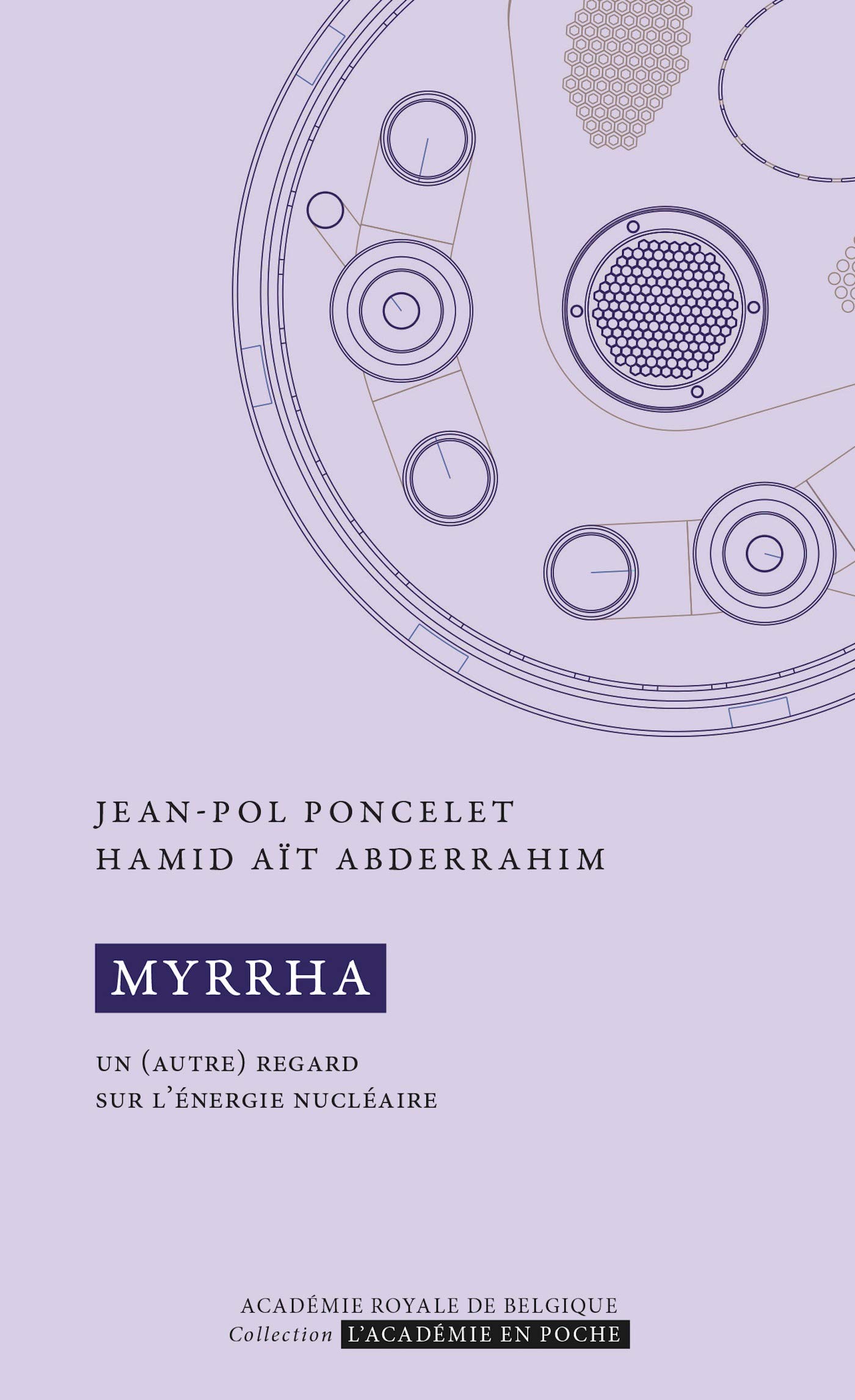 MYRRHA. Un (autre) regard sur l'énergie nucléaire (French Edition)