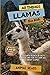 All Things Llamas For Kids:...