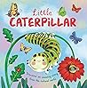 Nature Stories: Little Caterpillar: Discover Amazing Story from the Natural World! Padded Board Book
