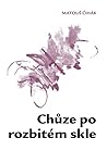 Chůze po rozbitém skle (Glasswalking)